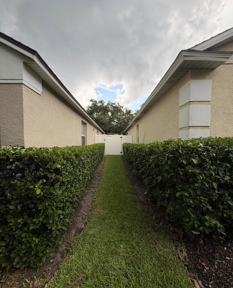 Side yard with parallel trimmed hedges and a striped green grass path