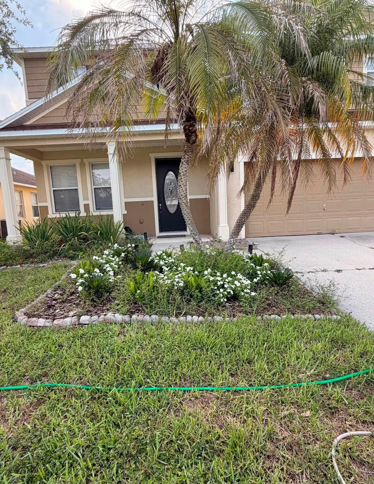 Front entrance landscaping with double palm and white flowering bed