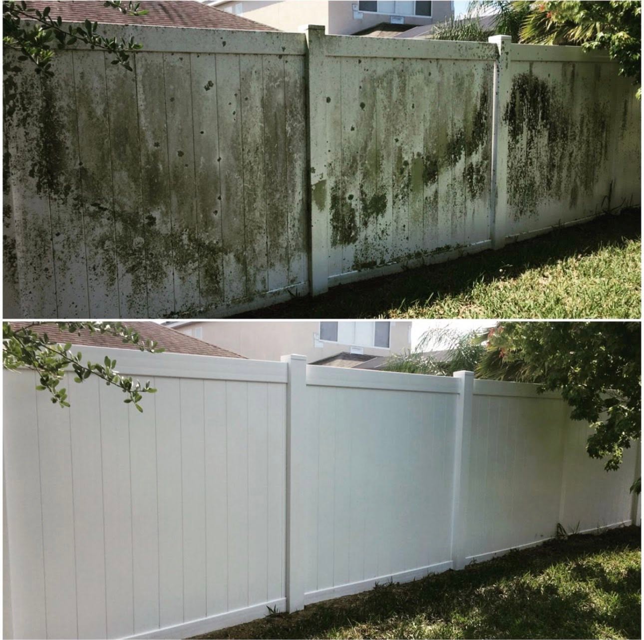 Vinyl fence covered in green algae before pressure washing and bright white after